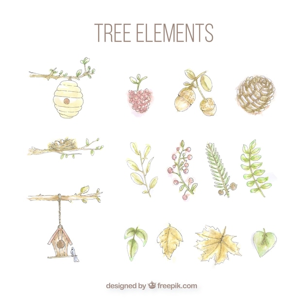 Set of tree elements painted with watercolors