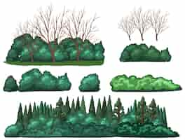 Free vector set of tree isolated