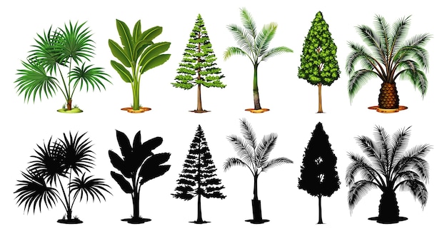 Free vector set of tree and shadow