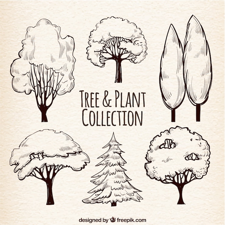 Free Vector set of tree sketches