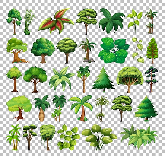 Free vector set of tree on transparent background