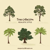 Free vector set of trees in 2d style