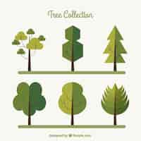 Free vector set of trees in flat style