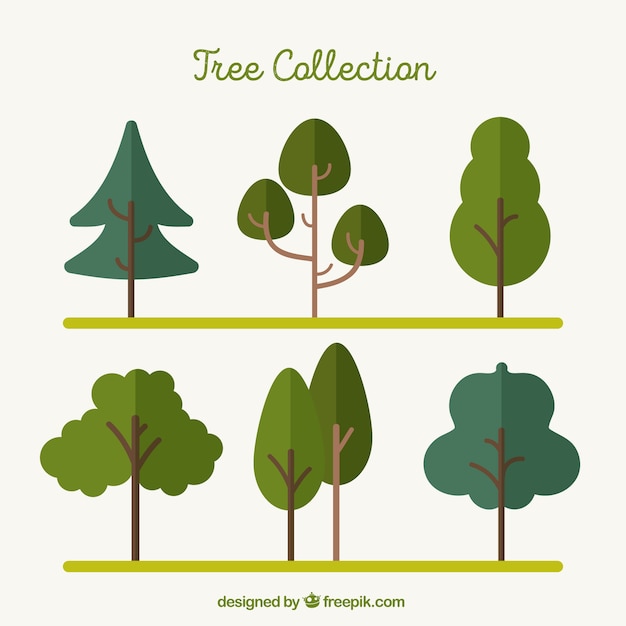 Free vector set of trees in flat style