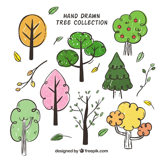 Free vector set of trees in hand drawn style