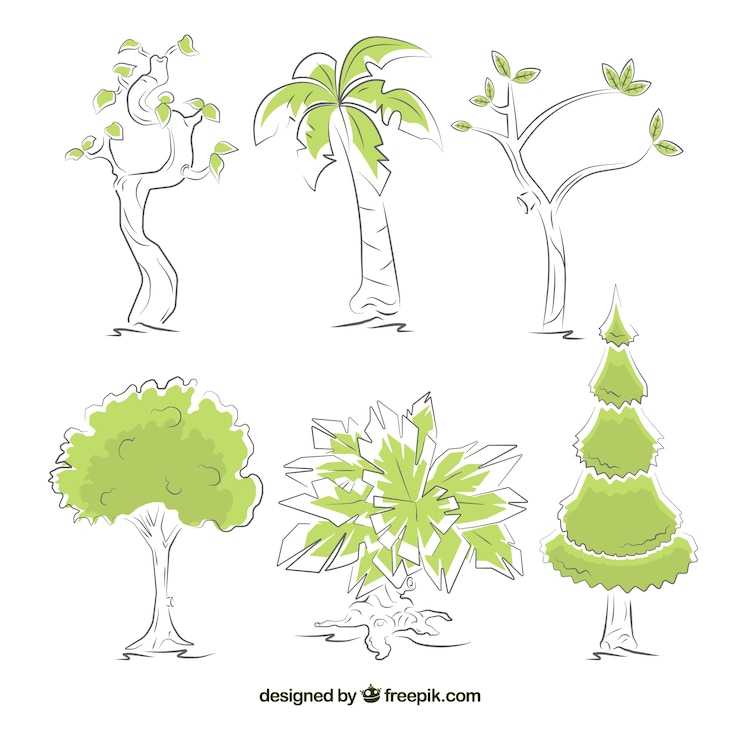 Free Vector set of trees in hand drawn style