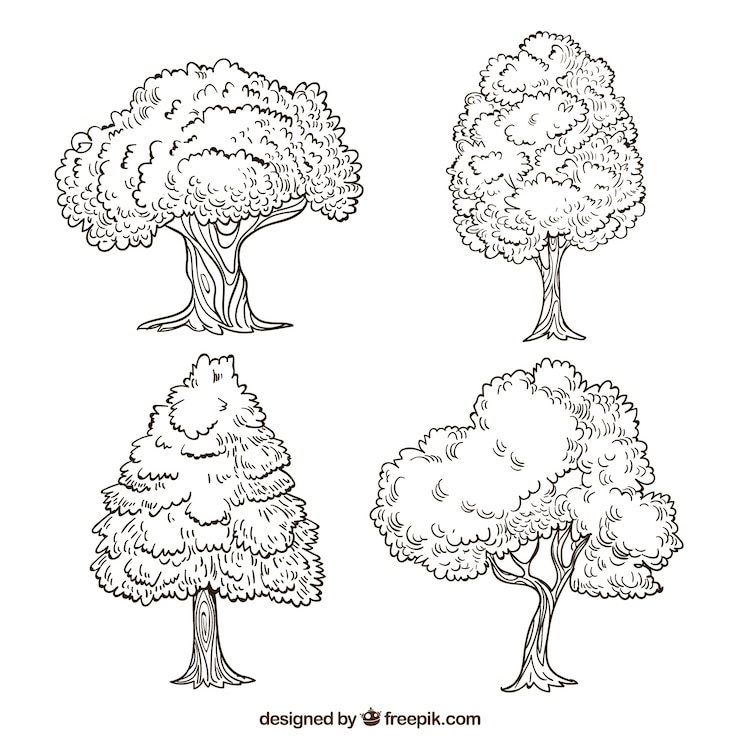 Free Vector set of trees in hand drawn style