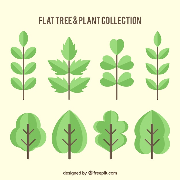 Set of trees and leaves in flat design