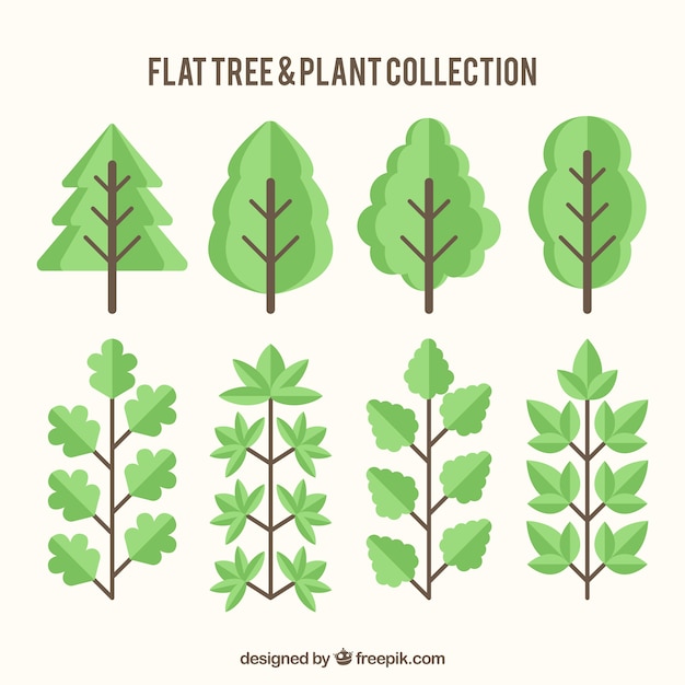 Free vector set of trees and plants in flat design