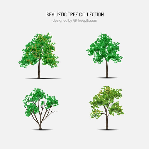 Set of trees in realistic style