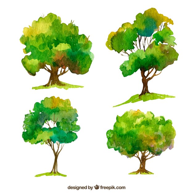 11 6 Watercolor Tree Images Free Photos Vectors Psd