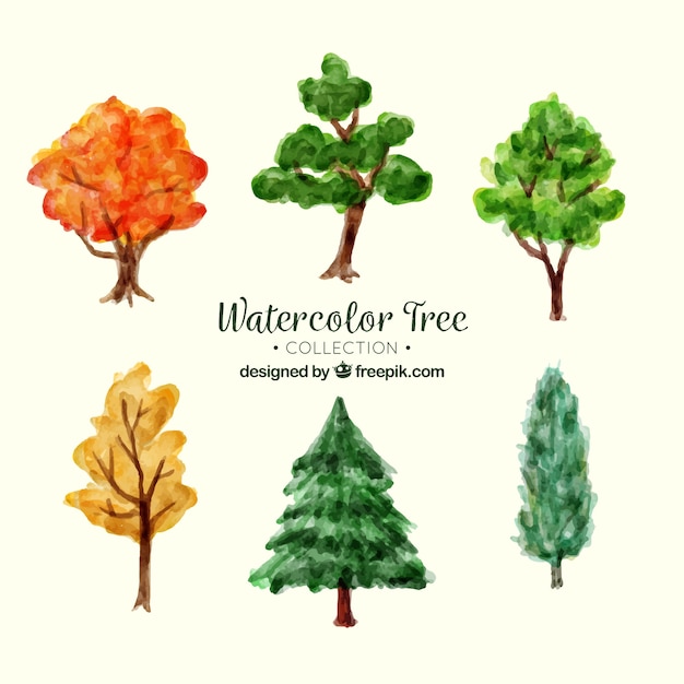 Set of trees in watercolor style