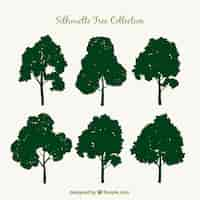 Free vector set of trees with silhouette