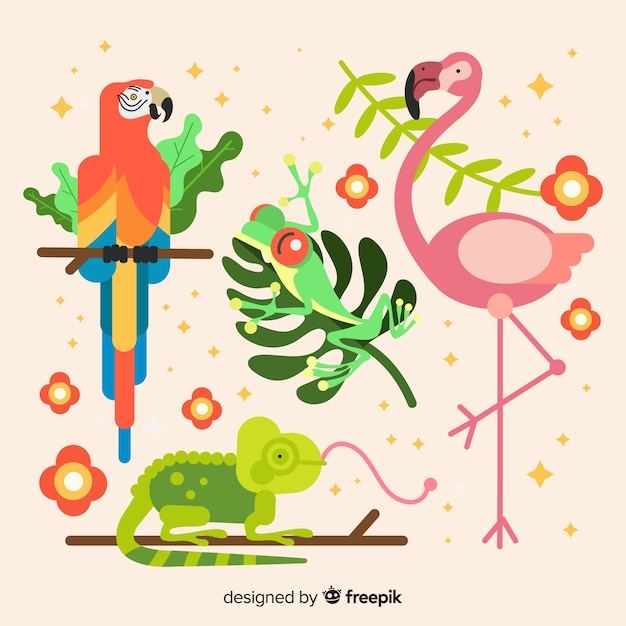 열 대 동물의 집합 : 앵무새, 개구리, 플라밍고, 카멜레온. 평면 스타일 디자인