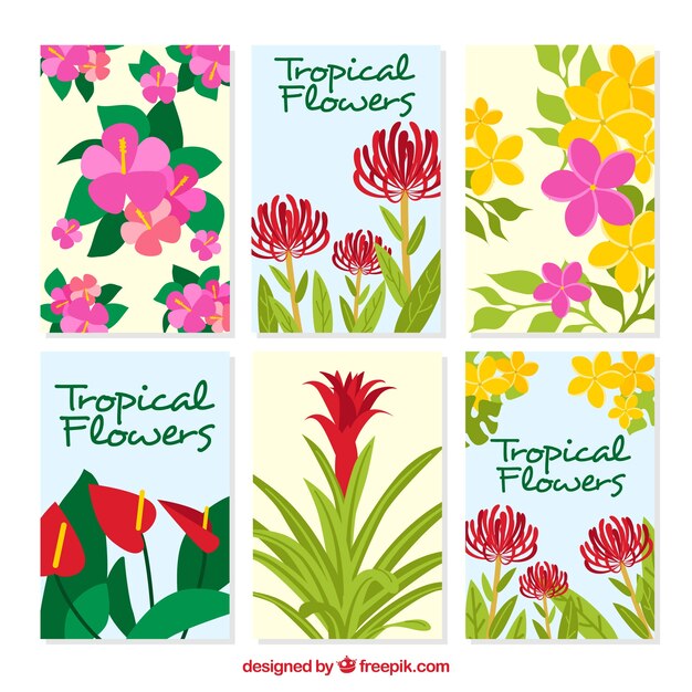 Set of tropical flower cards