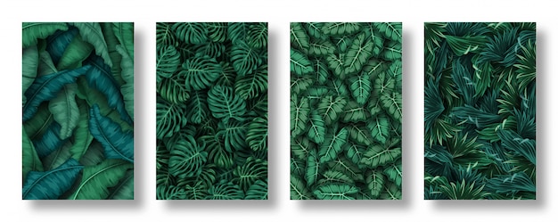 Set of tropical leaves background