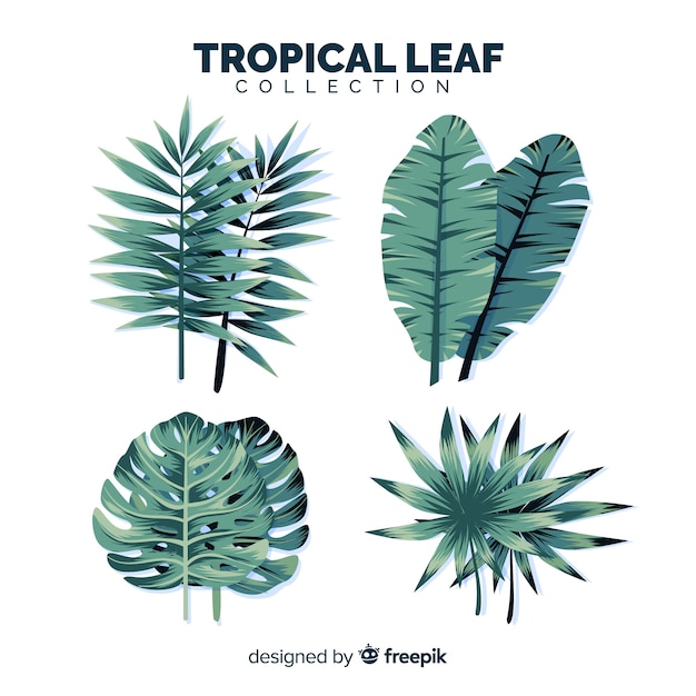 Набор тропических листьев с плоским дизайном