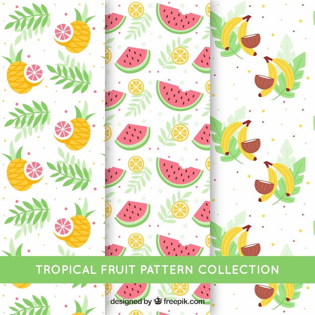 Set of tropical patterns with tasty fruits in flat style