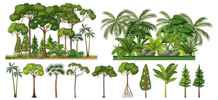Free Vector set of tropical trees isolated