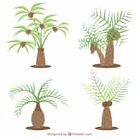 Free vector set of types of palm trees