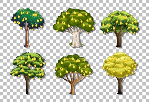 Set di alberi di limoni di varietà su sfondo trasparente