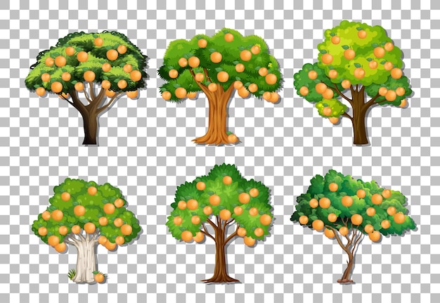 Free vector set of variety orange trees on transparent background