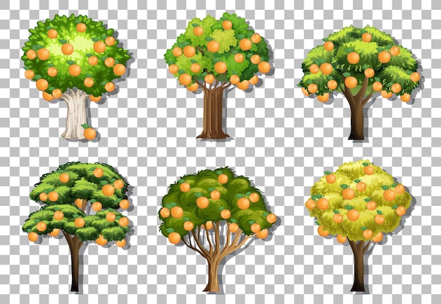 Free vector set of variety orange trees on transparent background