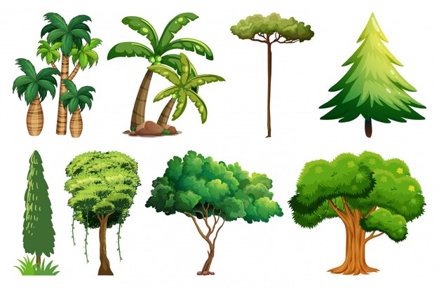 Set of variety plants and trees