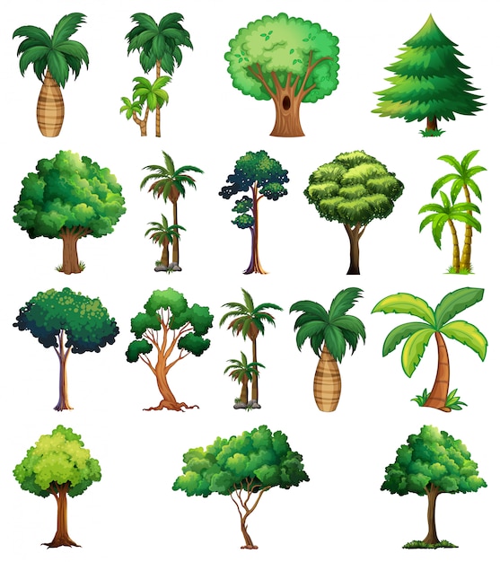 Set of variety plants and trees