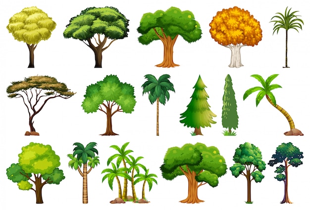 Set of variety plants and trees