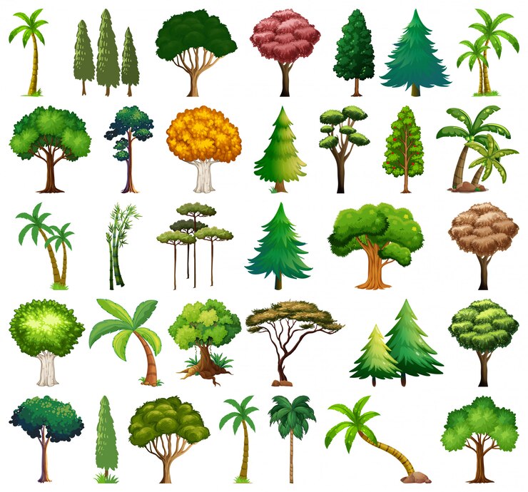 Free Vector set of variety plants and trees