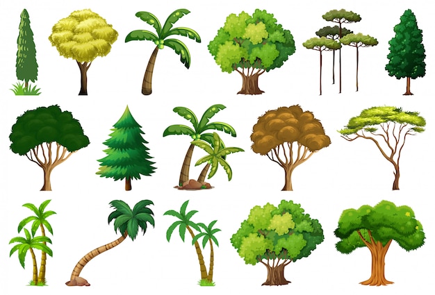 Free vector set of variety plants and trees