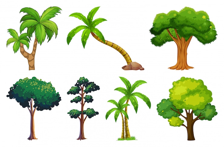 Free Vector set of variety plants and trees