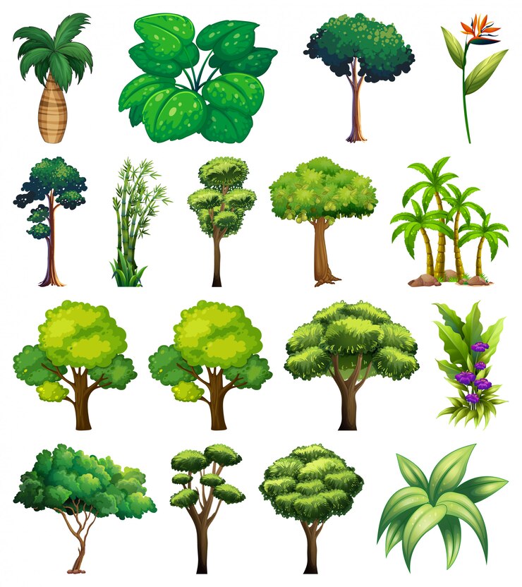 Free Vector set of variety plants and trees