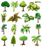 Free vector set of variety plants and trees