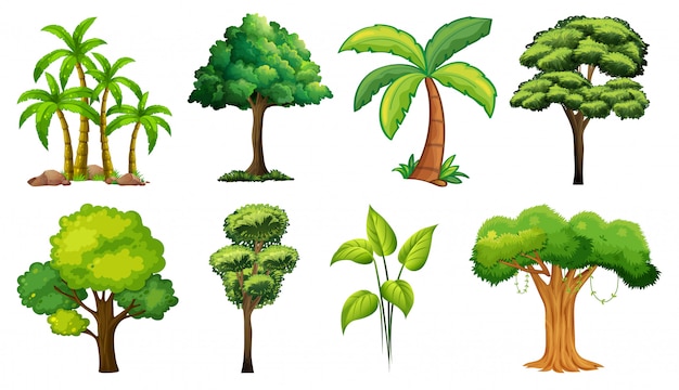 Set of variety plants and trees