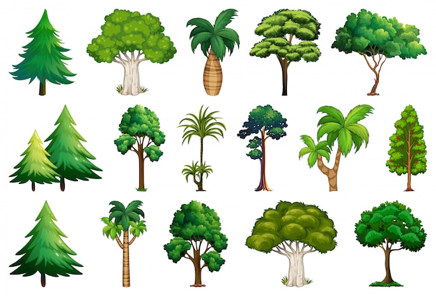 Free vector set of variety plants and trees