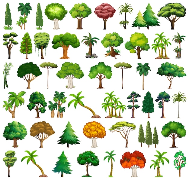 다양한 식물과 나무 세트
