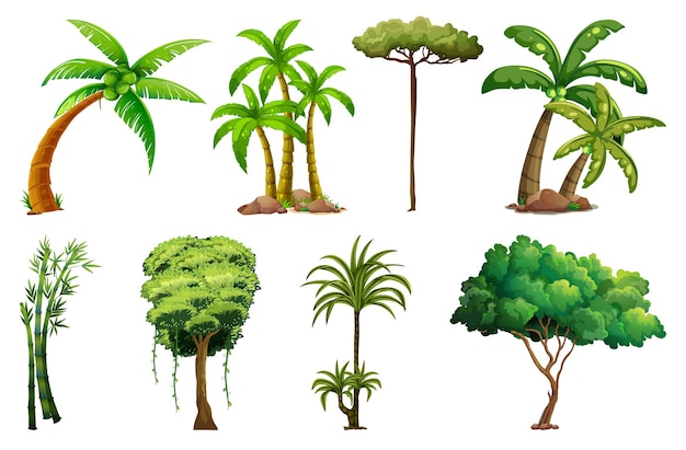 组不同的植物和树木