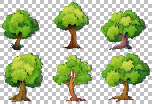 Free vector set of variety trees on transparent background