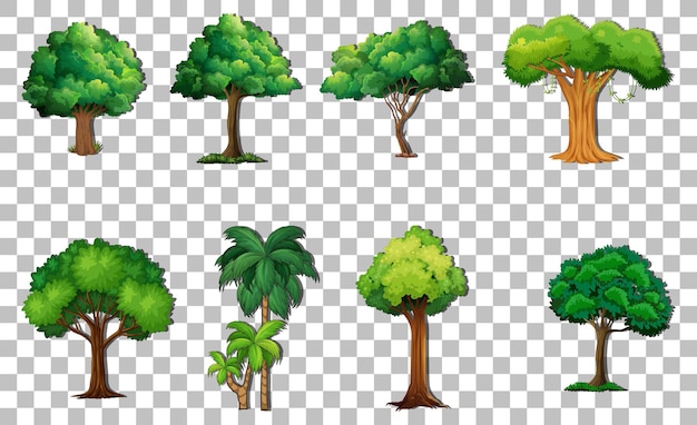 Free vector set of variety trees on transparent background