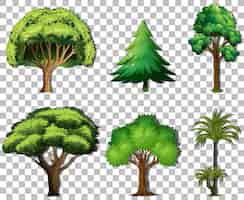 Free vector set of variety trees on transparent background
