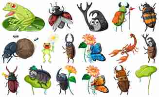 Free vector set of various insects and amphibians cartoon