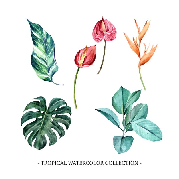 Set of various isolated foliage watercolor