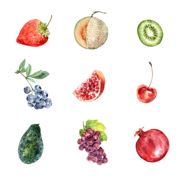 Set of various isolated fruits