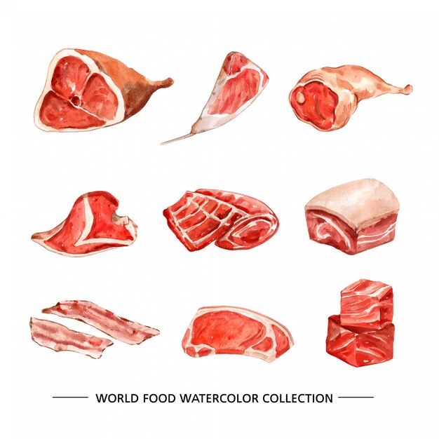 Set of various isolated meat watercolor illustration 