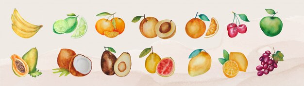 Set of various isolated watercolor fruits