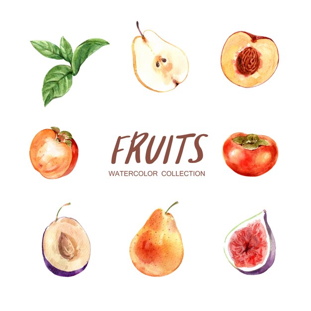 Set of various isolated watercolor fruits