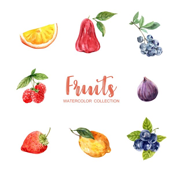 Set of various isolated watercolor fruits