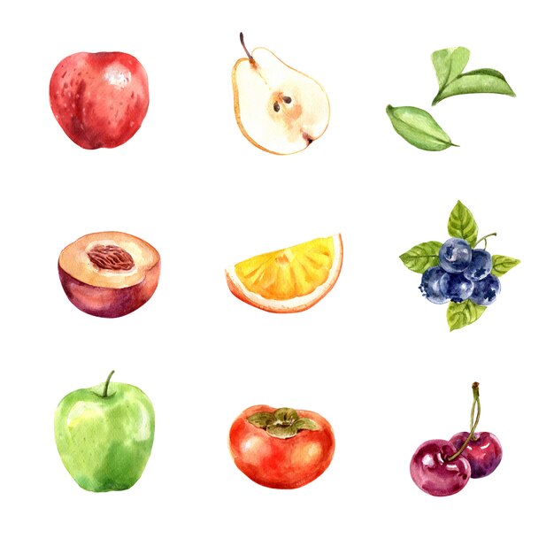 Set of various isolated, watercolor and hand drawn fruits